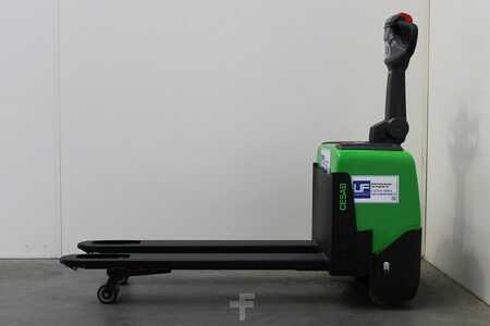 Cesab P113