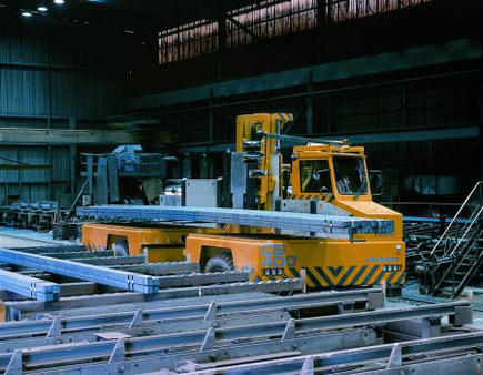 Baumann S.r.l.