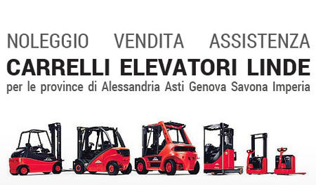 M.G.A. di Scarsi M. & C. Srl